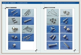 產(chǎn)品展示之三,華人螺絲網(wǎng)提供各種產(chǎn)品展示之三報價、價格、生產(chǎn)廠家、供應(yīng)商-HK榮興公司;威信柏五金制品廠