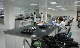 東莞豐信Sedex輔導與房產咨詢 權威專業(yè)，助力企業(yè)合規(guī)與資產增值